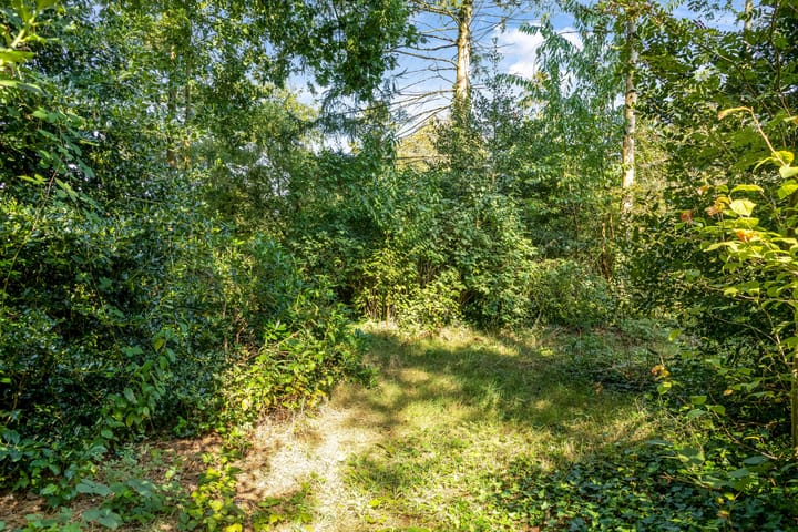 Foto 84 van Dennenweg 4-A