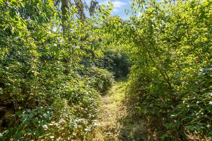 Foto 85 van Dennenweg 4-A