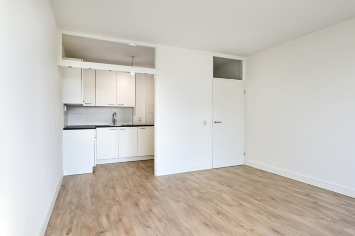 Foto 7 van Laan van Parijs 6