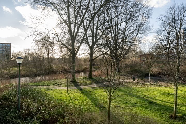 Foto 20 van Laan van Parijs 6