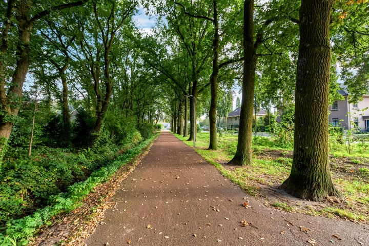 Bekijk foto 54 van Meerkoetstraat 32