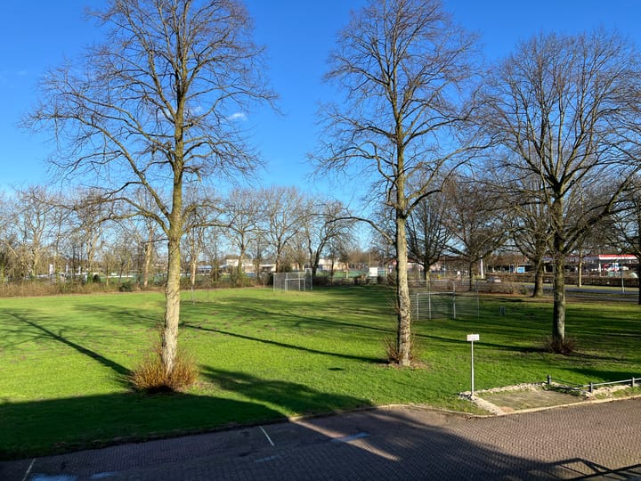 Foto 5 van Pauwstraat 3