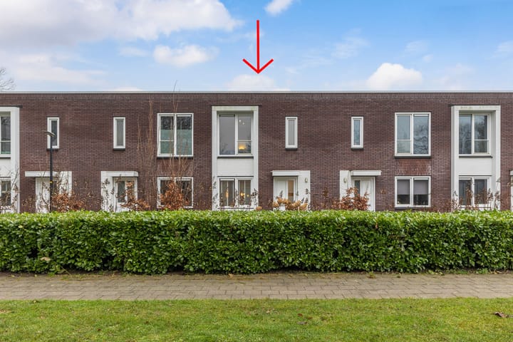 undefined main image