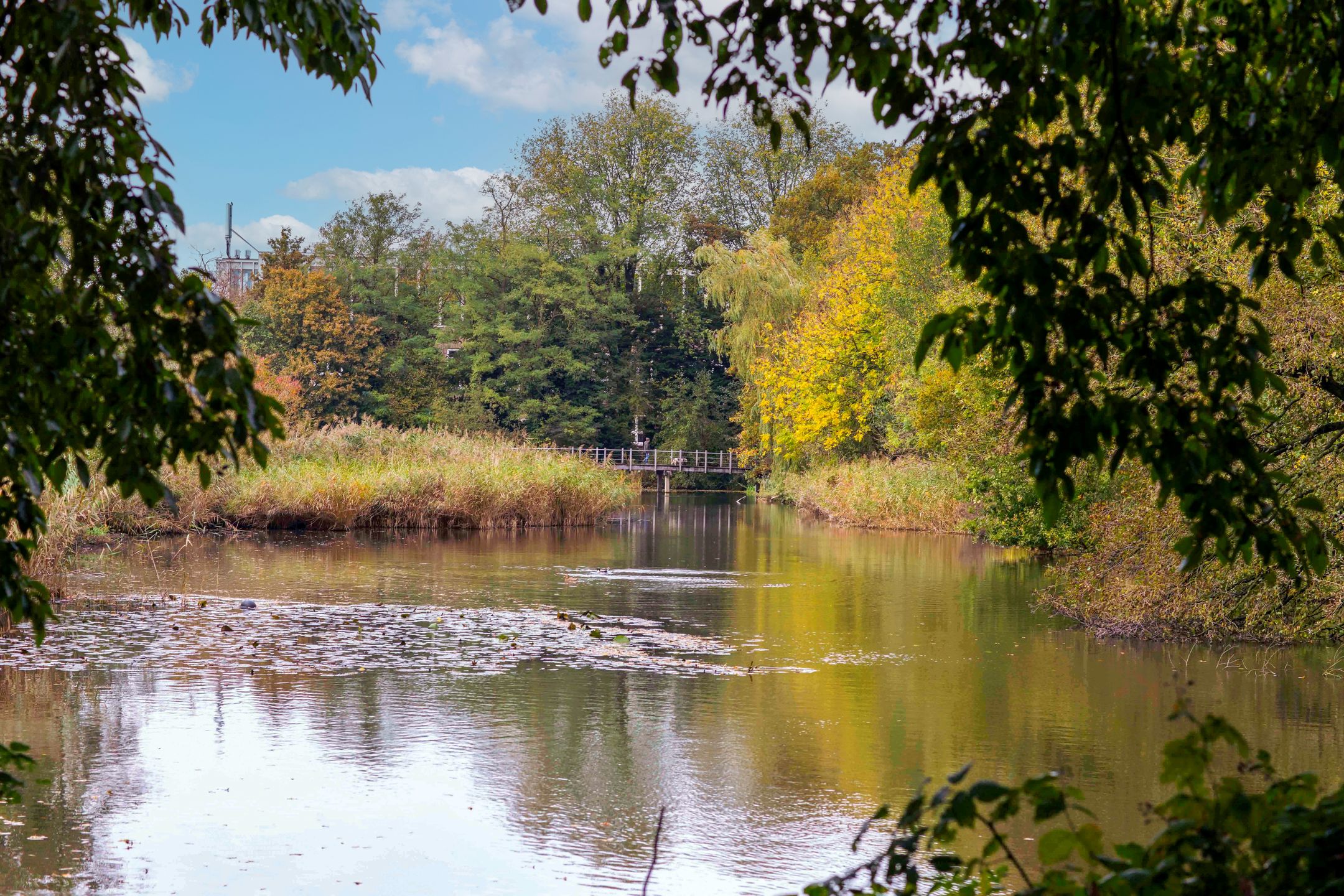 Photo 24 of Wethouder Frankeweg 9-1