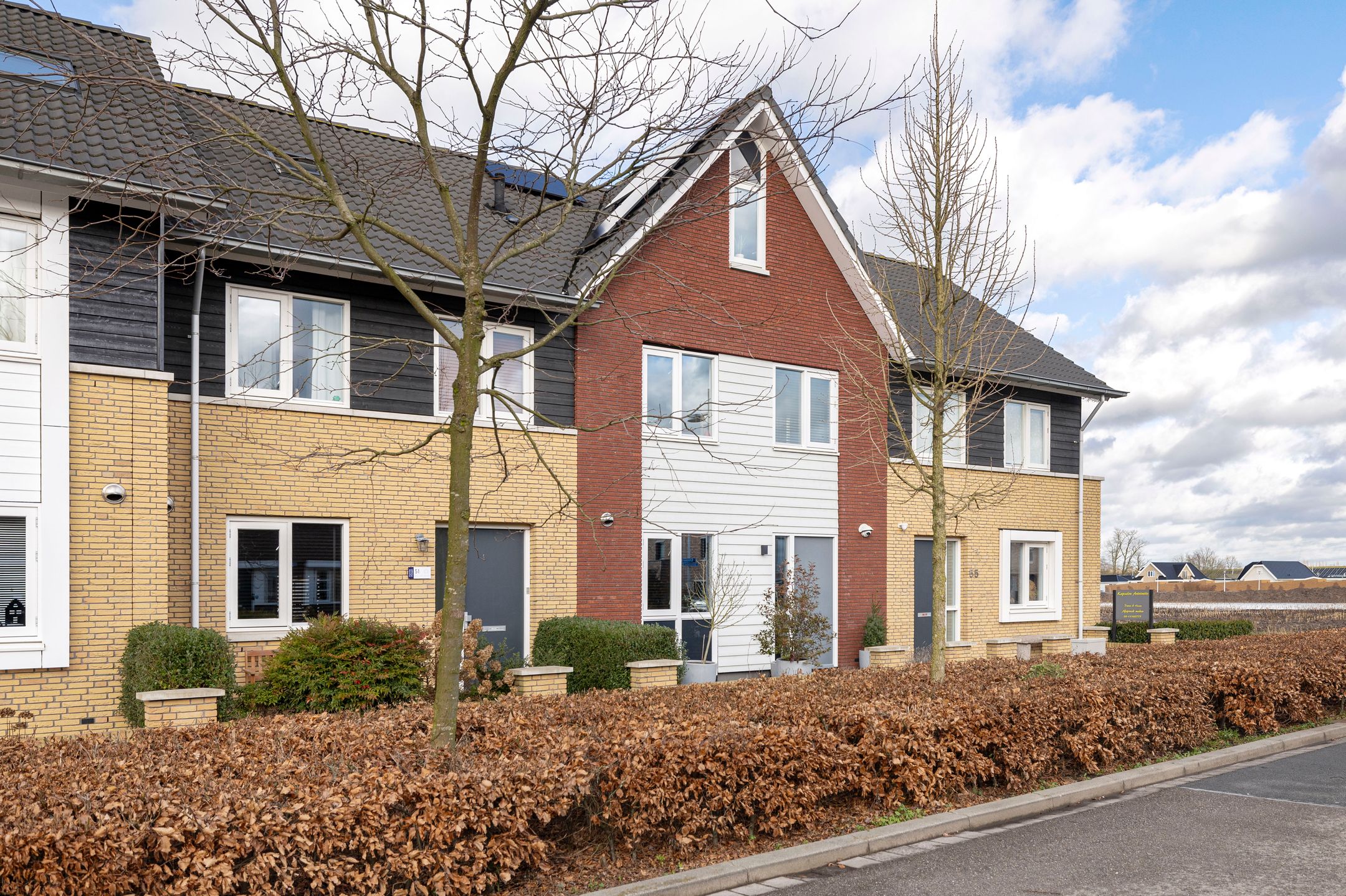 Foto 3 van Oesterzwam 53