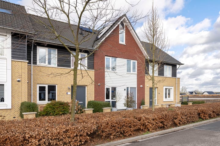 Foto 3 van Oesterzwam 53