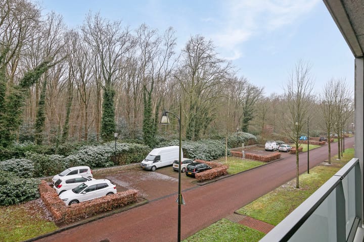 Foto 29 van Sporenring 204-04