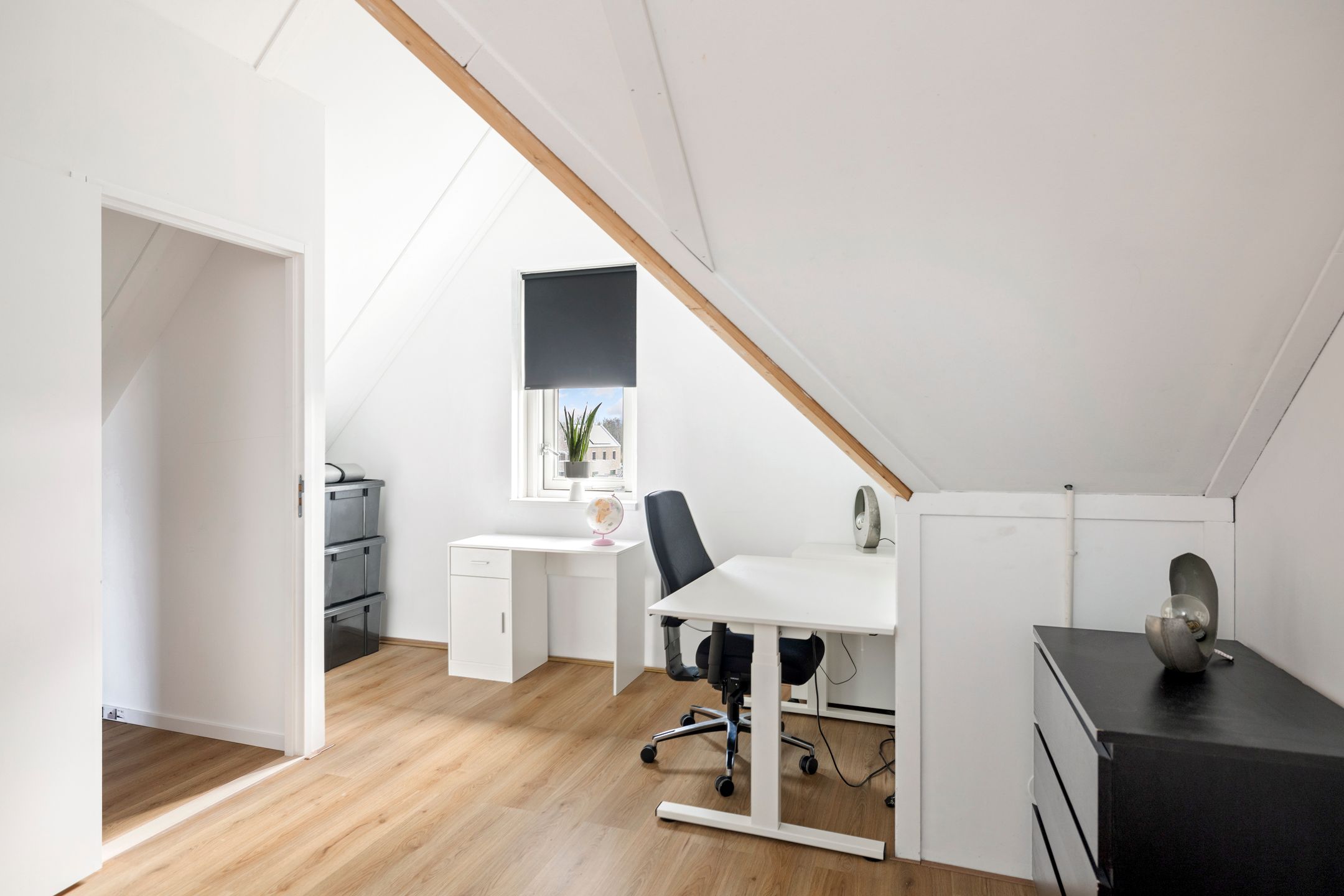 Foto 24 van Oesterzwam 53