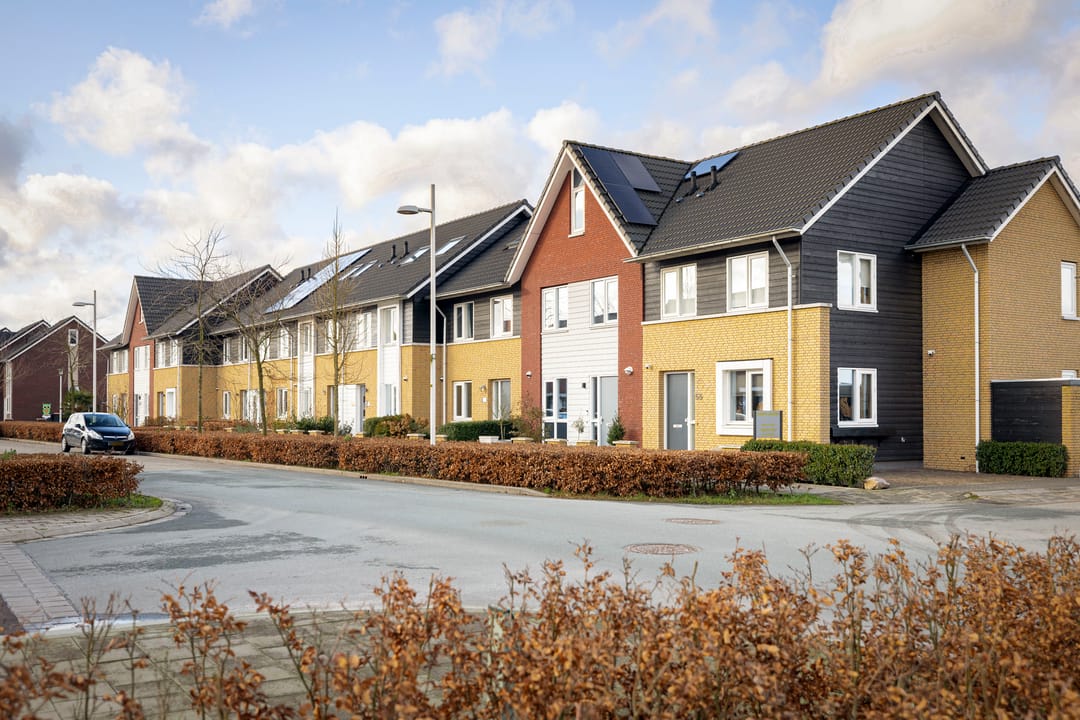 Foto 31 van Oesterzwam 53