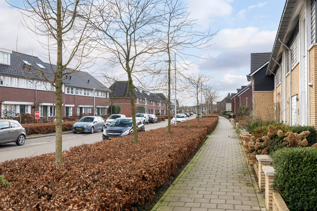 Foto 32 van Oesterzwam 53