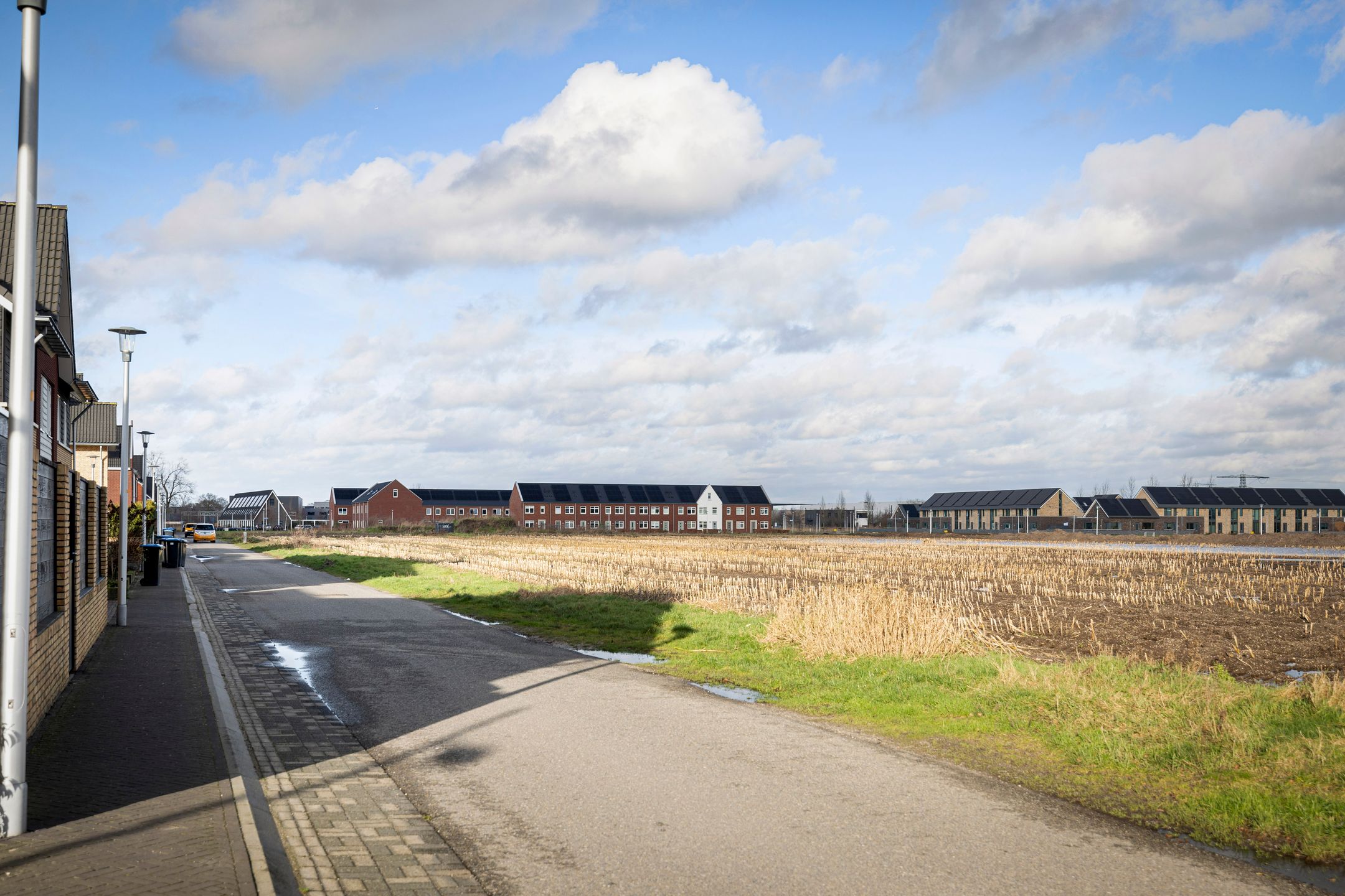 Foto 33 van Oesterzwam 53