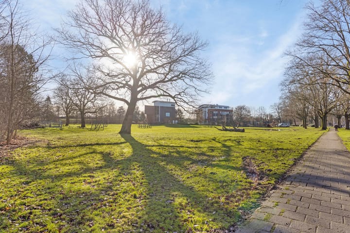 Foto 29 van Vondellaan 75