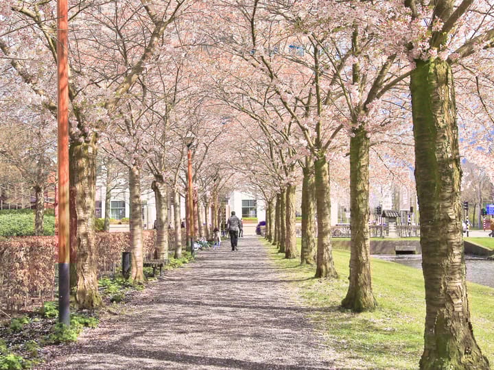 Foto 60 van Keizer Karelweg 405