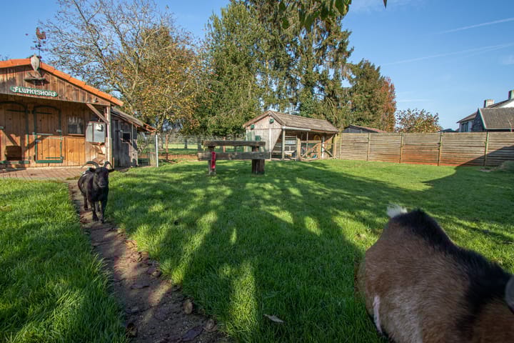 Foto 5 van Napoleonsweg 114