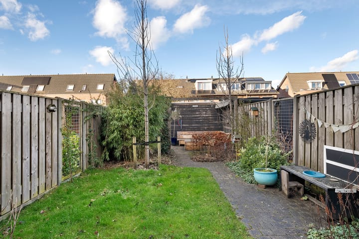 Foto 28 van Rietgras 58