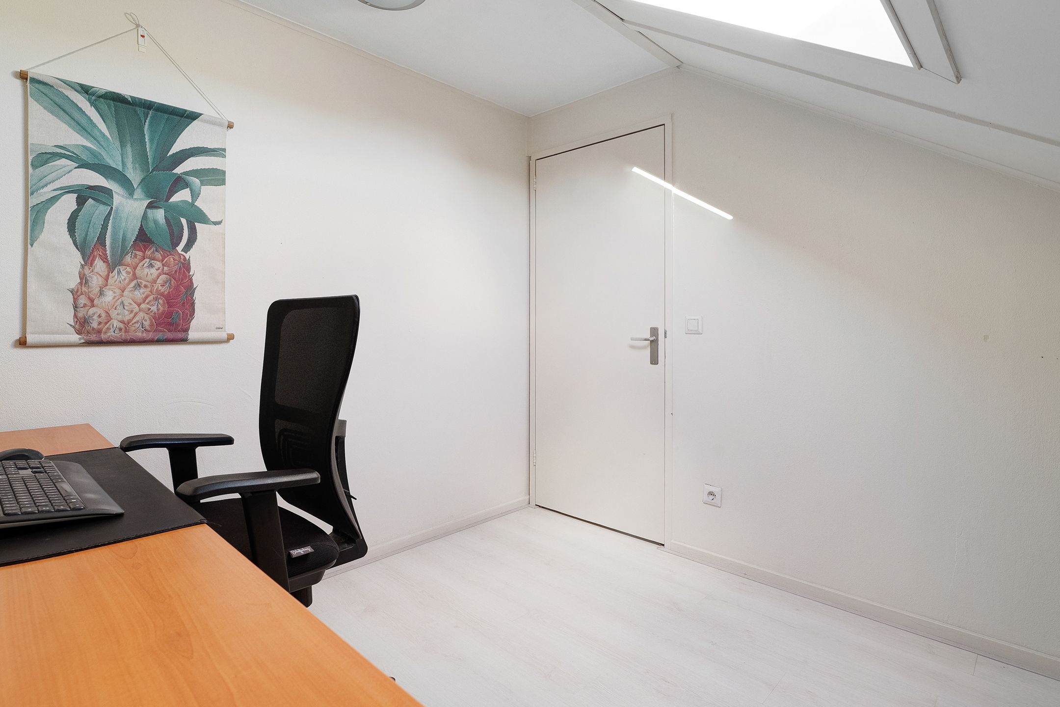 Foto 24 van Rietgras 58