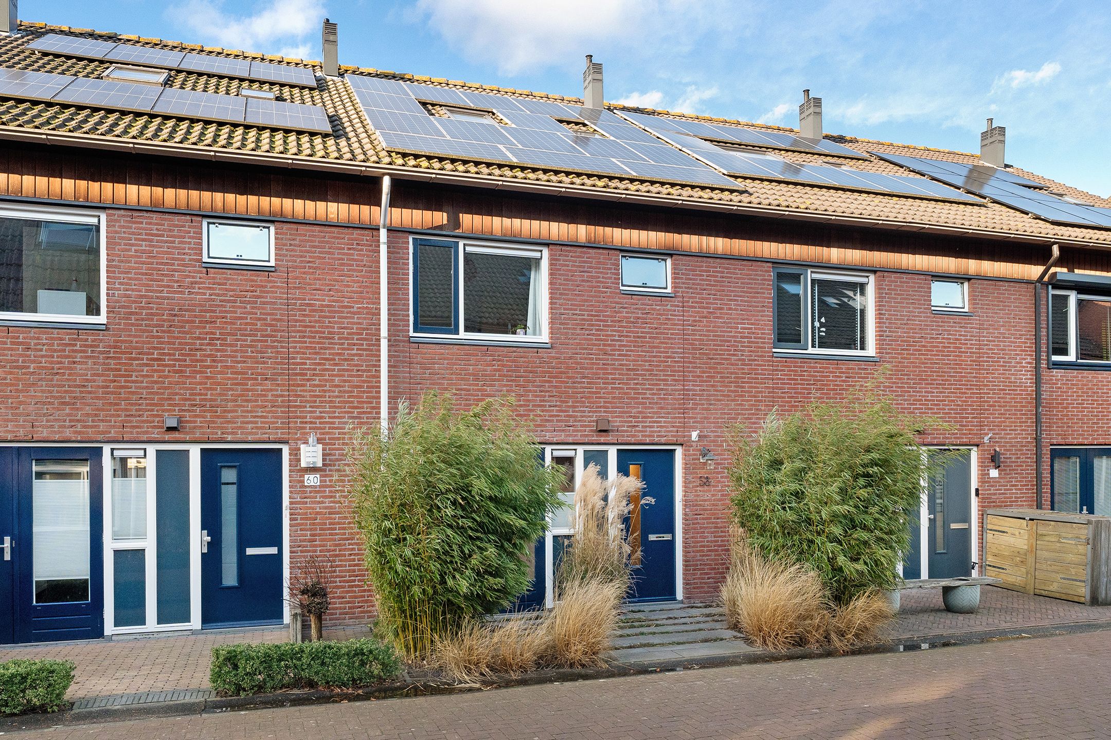 Foto 33 van Rietgras 58