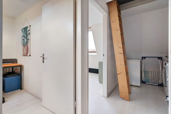 Foto 22 van Rietgras 58