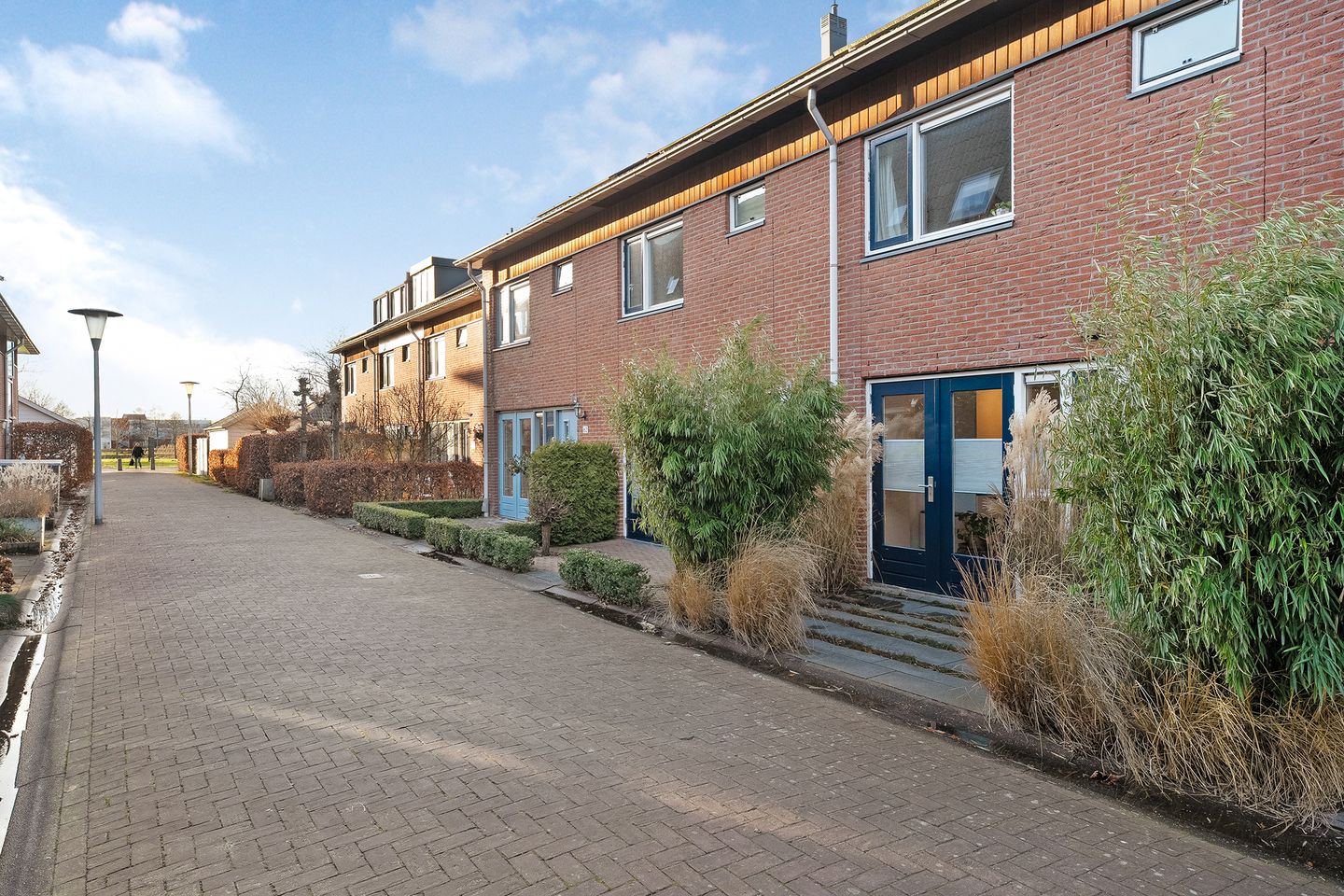 Foto 34 van Rietgras 58