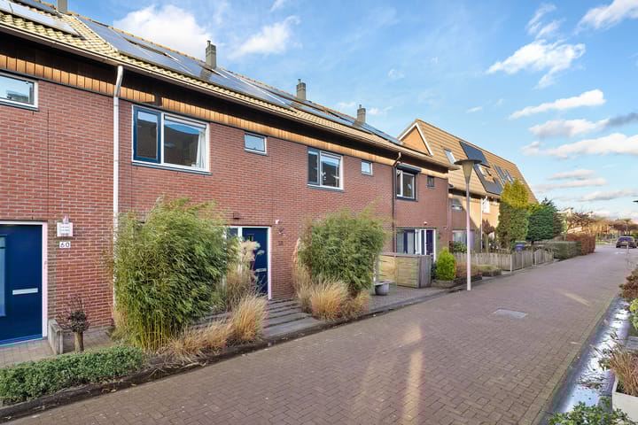 Foto 35 van Rietgras 58