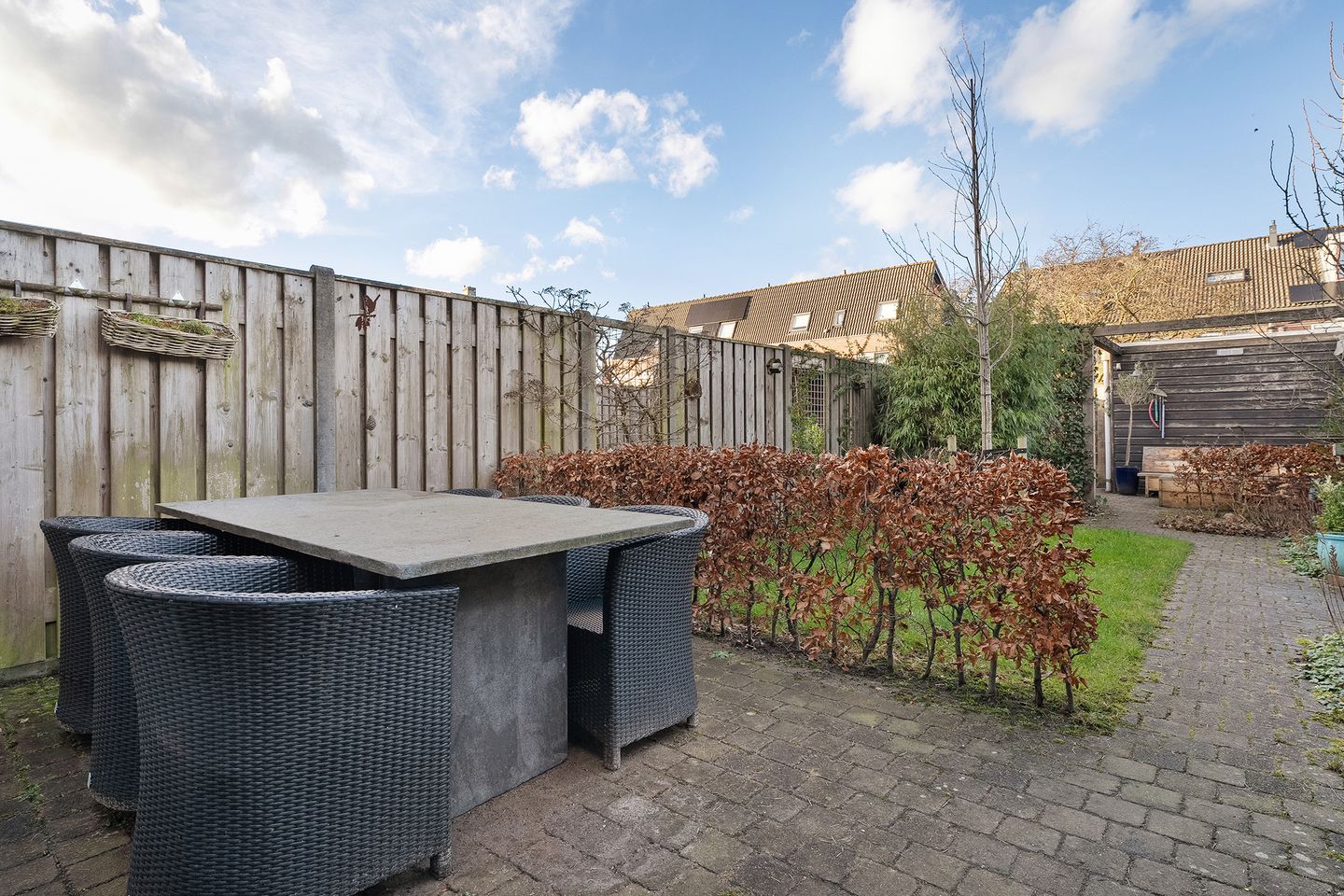 Foto 29 van Rietgras 58