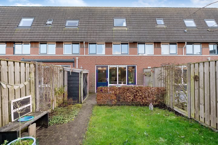 Foto 27 van Rietgras 58