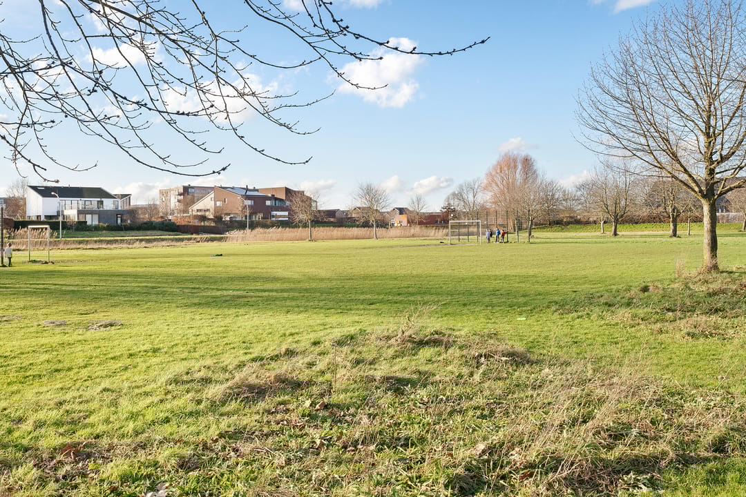 Foto 32 van Rietgras 58