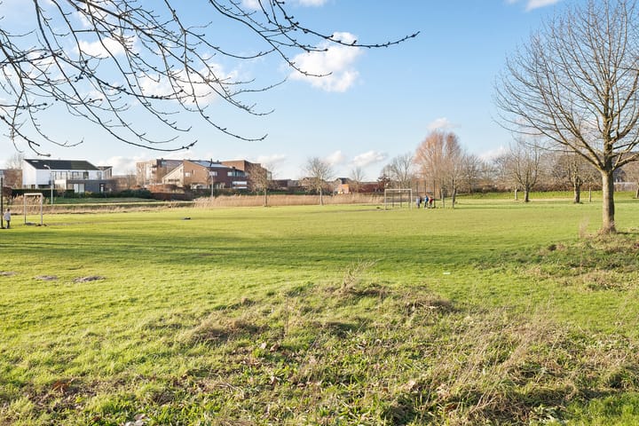 Foto 32 van Rietgras 58