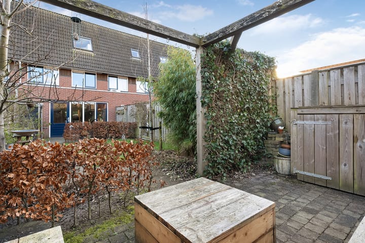 Foto 31 van Rietgras 58