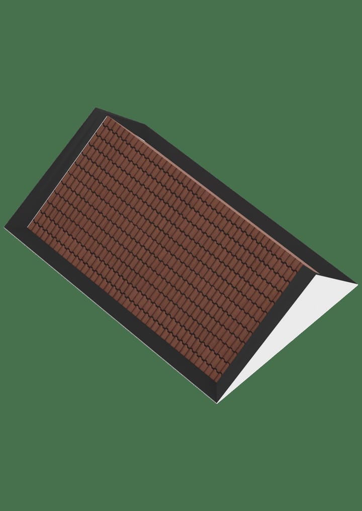 Foto 47 van Rietgras 58