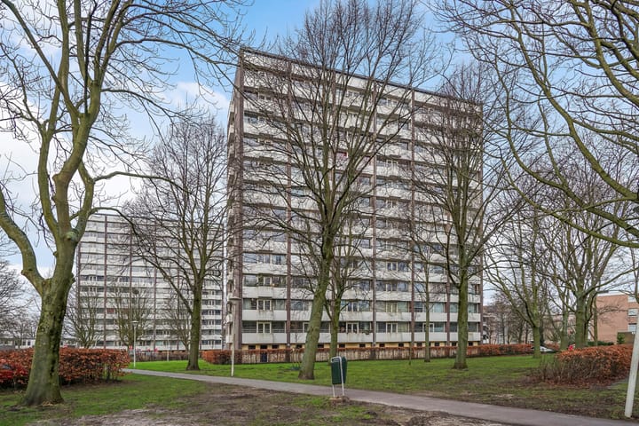 Foto 30 van Roggekamp 385