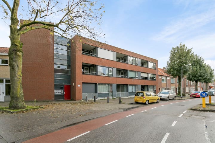 undefined main image