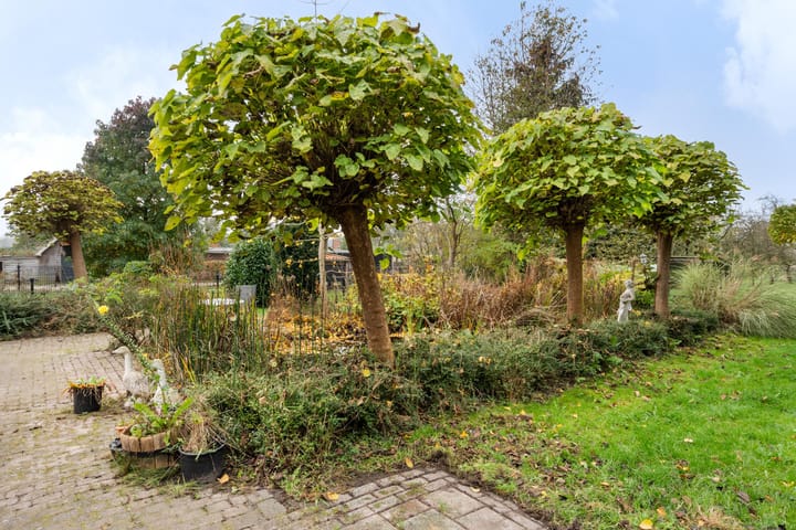 Foto 37 van Eerste Wijk 6