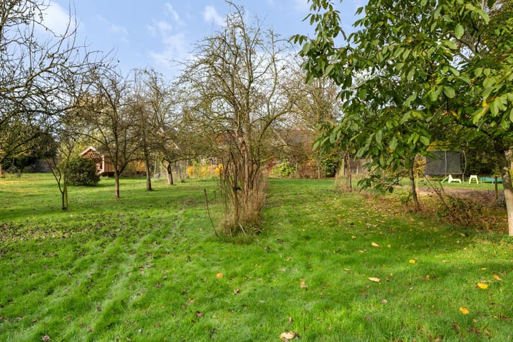 Foto 41 van Eerste Wijk 6