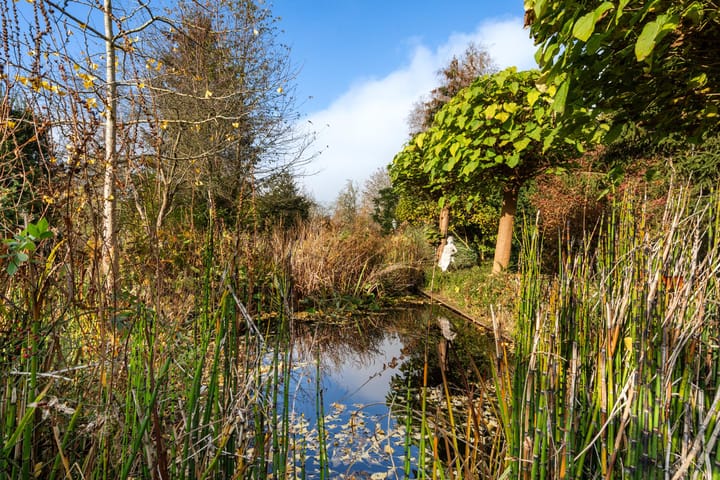 Foto 44 van Eerste Wijk 6