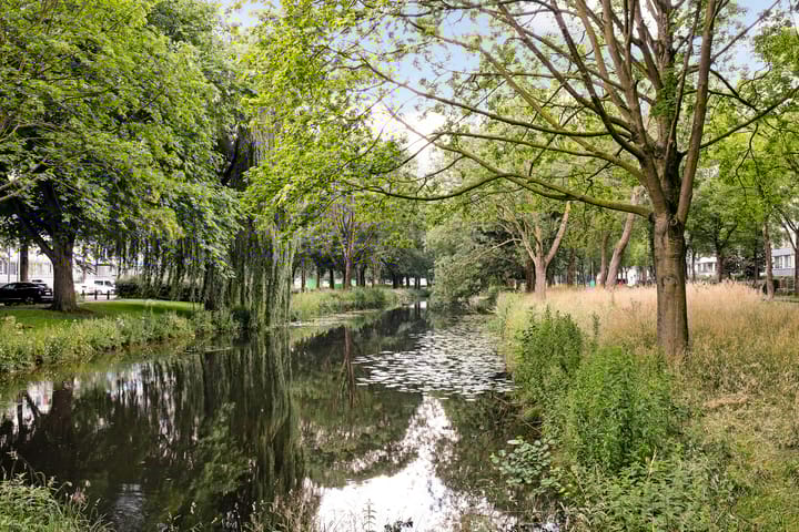 Foto 34 van Euterpedreef 54