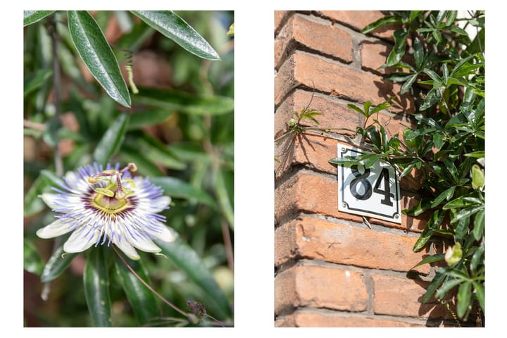 Foto 3 van Jacob van der Borchstraat 84