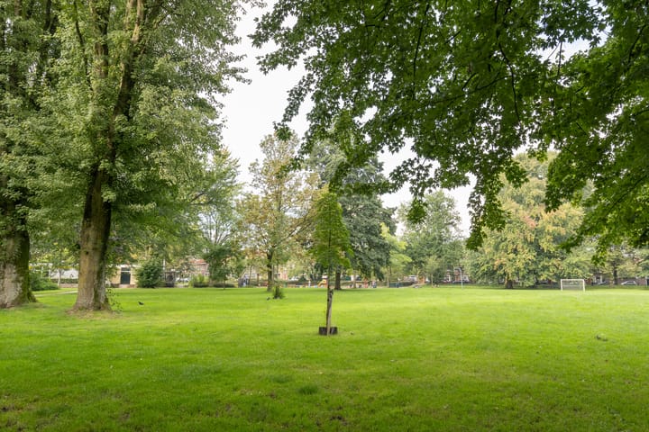 Foto 43 van Jacob van der Borchstraat 84