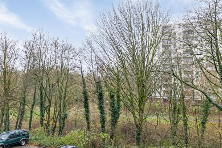 Foto 29 van Jisperveldstraat 320