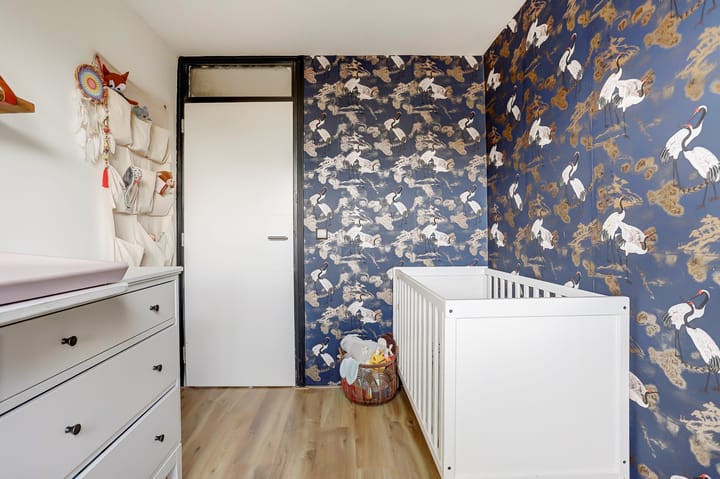 Foto 18 van Distel 2