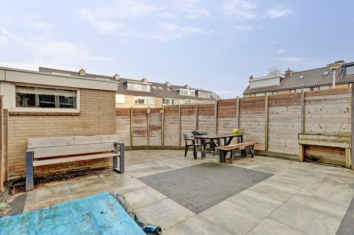 Foto 27 van Distel 2