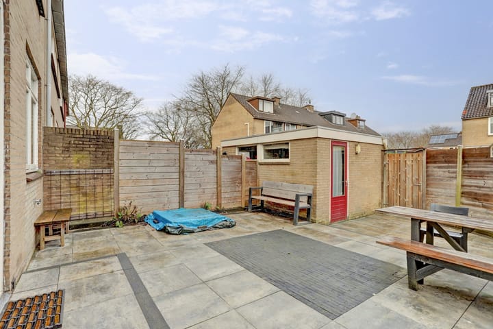 Foto 28 van Distel 2