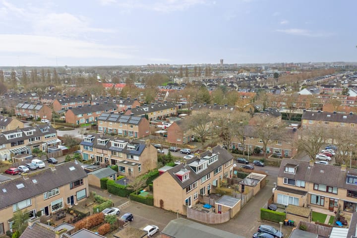 Foto 33 van Distel 2