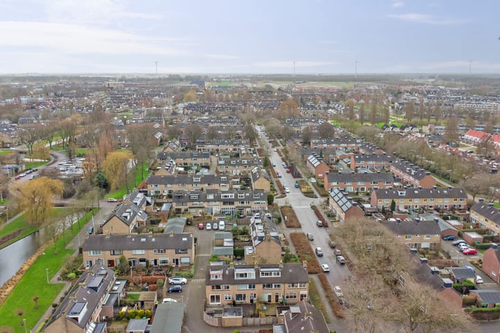 Foto 34 van Distel 2