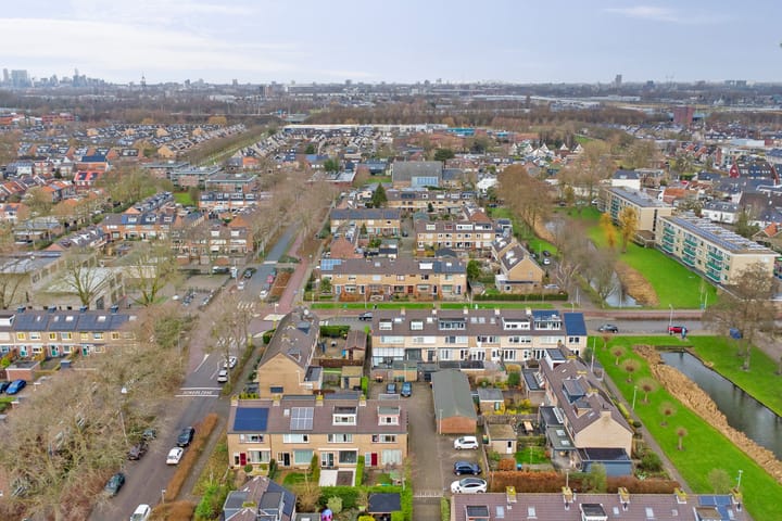 Foto 35 van Distel 2