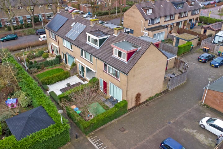 Foto 36 van Distel 2