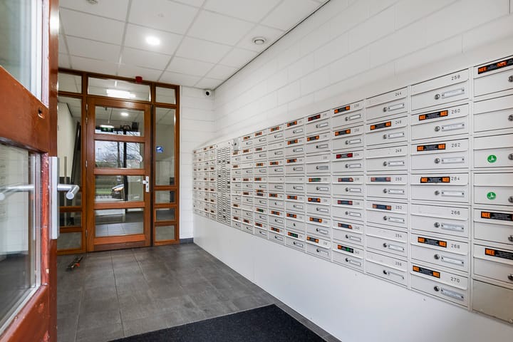 Photo 8 of Rottumeroog 186