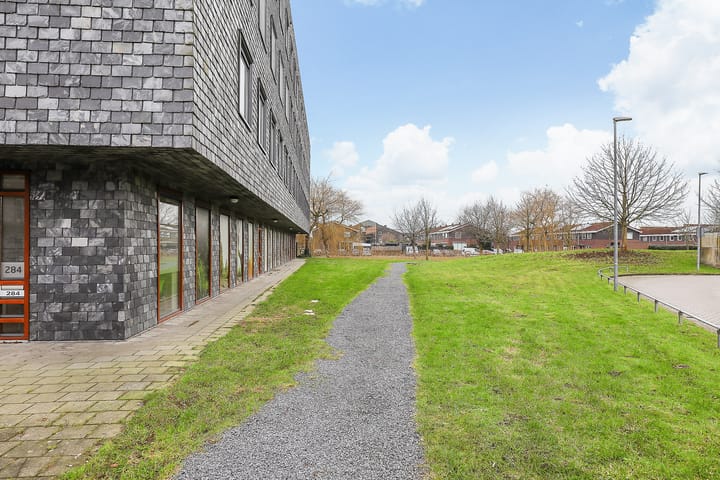 Photo 19 of Rottumeroog 186