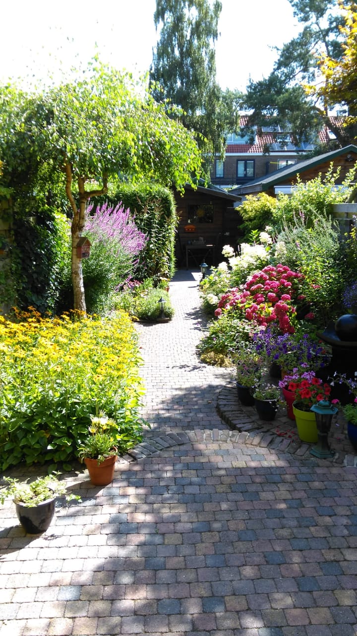 Foto 26 van Krugerlaan 169