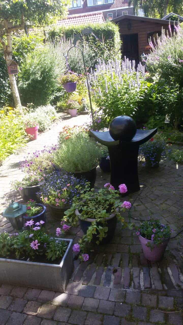 Foto 27 van Krugerlaan 169